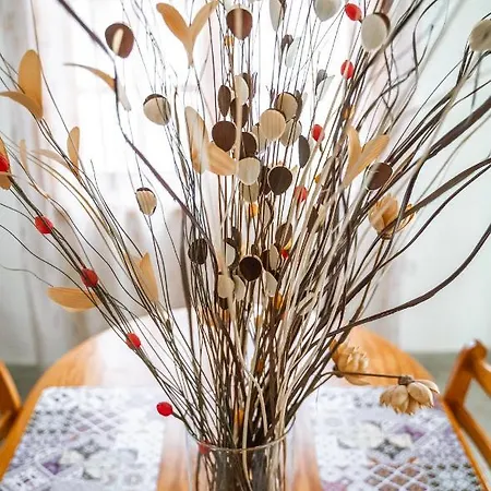 فيلة Coralsunset Management Ltd كورال باي