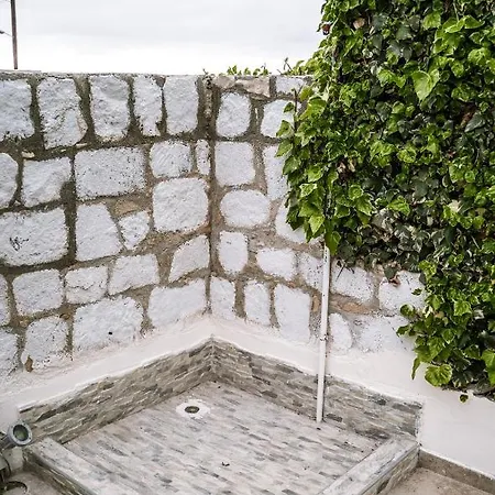 Coralsunset Management Ltd * كورال باي