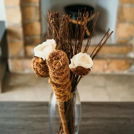 Coralsunset Management Ltd *