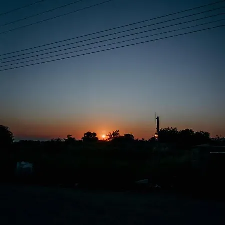 Coralsunset Management Ltd