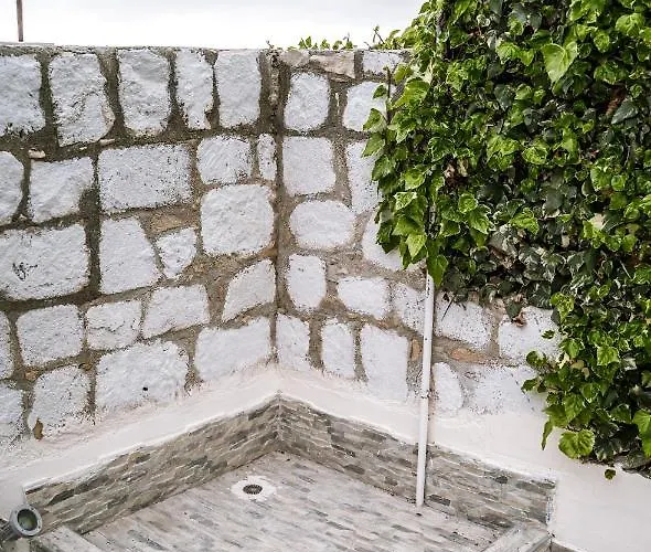 Coralsunset Management Ltd * コーラル・ベイ