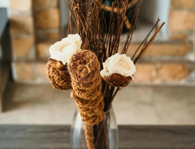 Coralsunset Management Ltd *