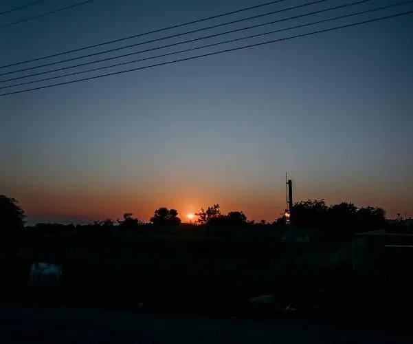 Coralsunset Management Ltd